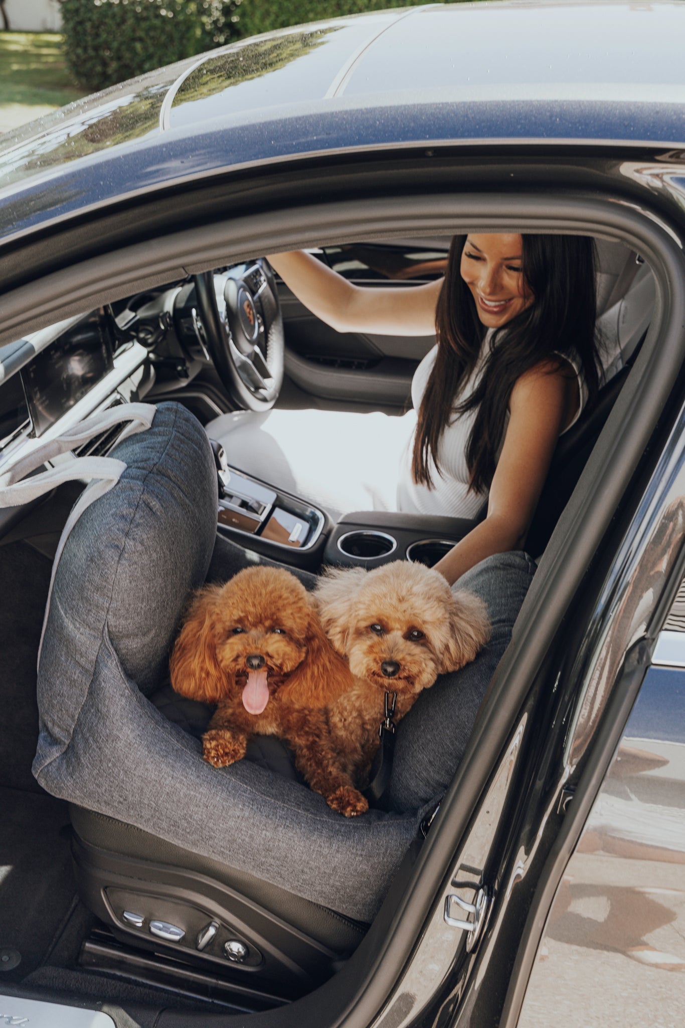 L'élianne ® : Siège d'auto de Luxe pour Chiens - Lit d'auto pour chien -  Siège d'auto | bol